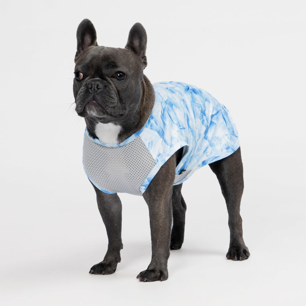 Fitwarm chaleco para perro refrescante con tejido seco.