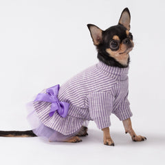 Guía de talla pequeña Fitwarm: espalda 10 pulgadas, pecho 14 pulgadas.