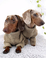 Fitwarm detalle-cuello-alto del sueter-perro, aporta abrigo adicional.