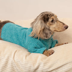 Detalle de cuello alto de la sudadera Fitwarm para perro teal, ajuste cómodo