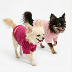Detalle cuello tortuga de sueter Fitwarm para perros