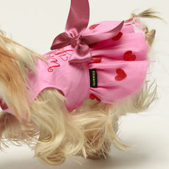 Detalle de lazo en el vestido Fitwarm para perro, toque princesa
