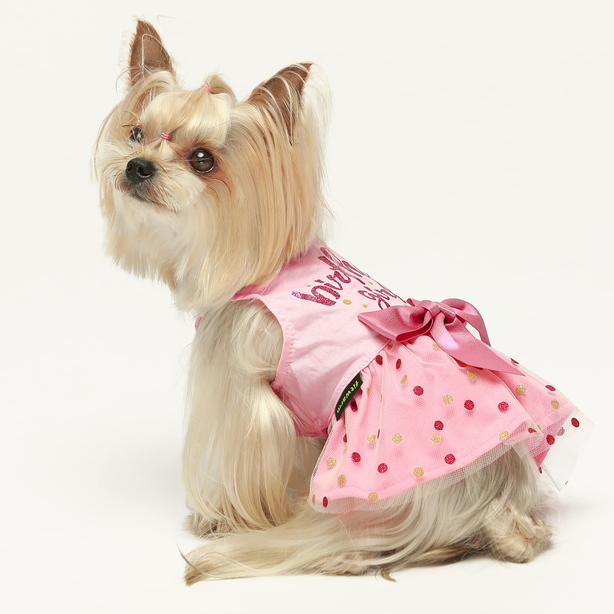 Momentos especiales con fotos para perro con vestido Fitwarm.