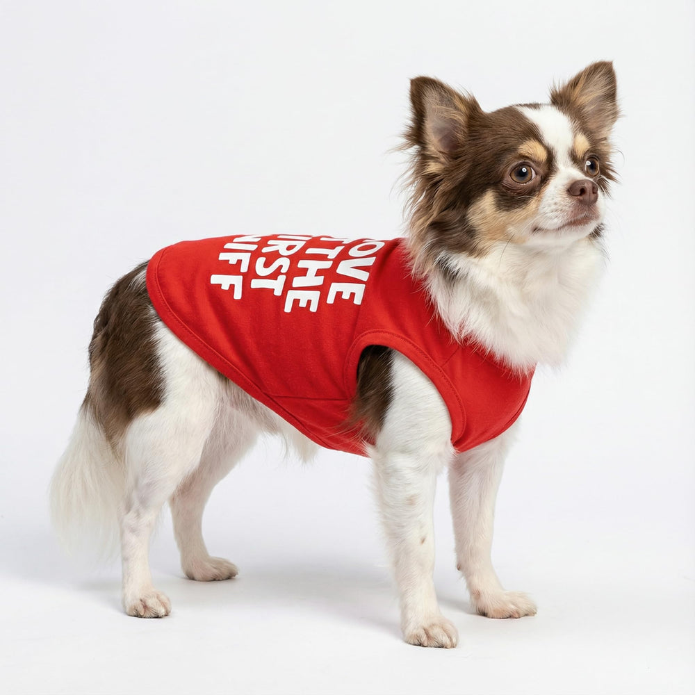 Fitwarm San Valentín perro estampado corazon.