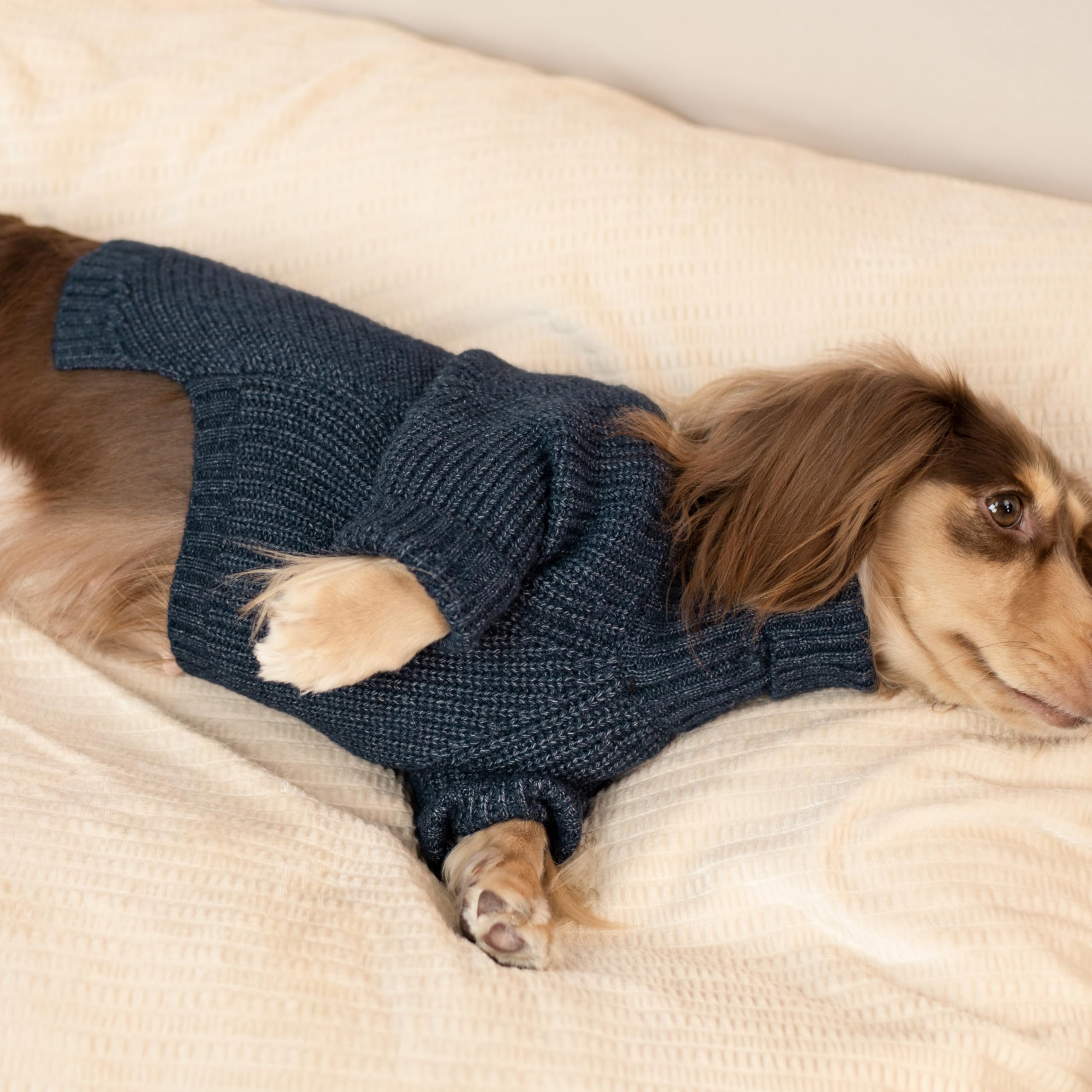 Fitwarm diseño clásico sudadera para perro: facilita ponérsela y quitarla.