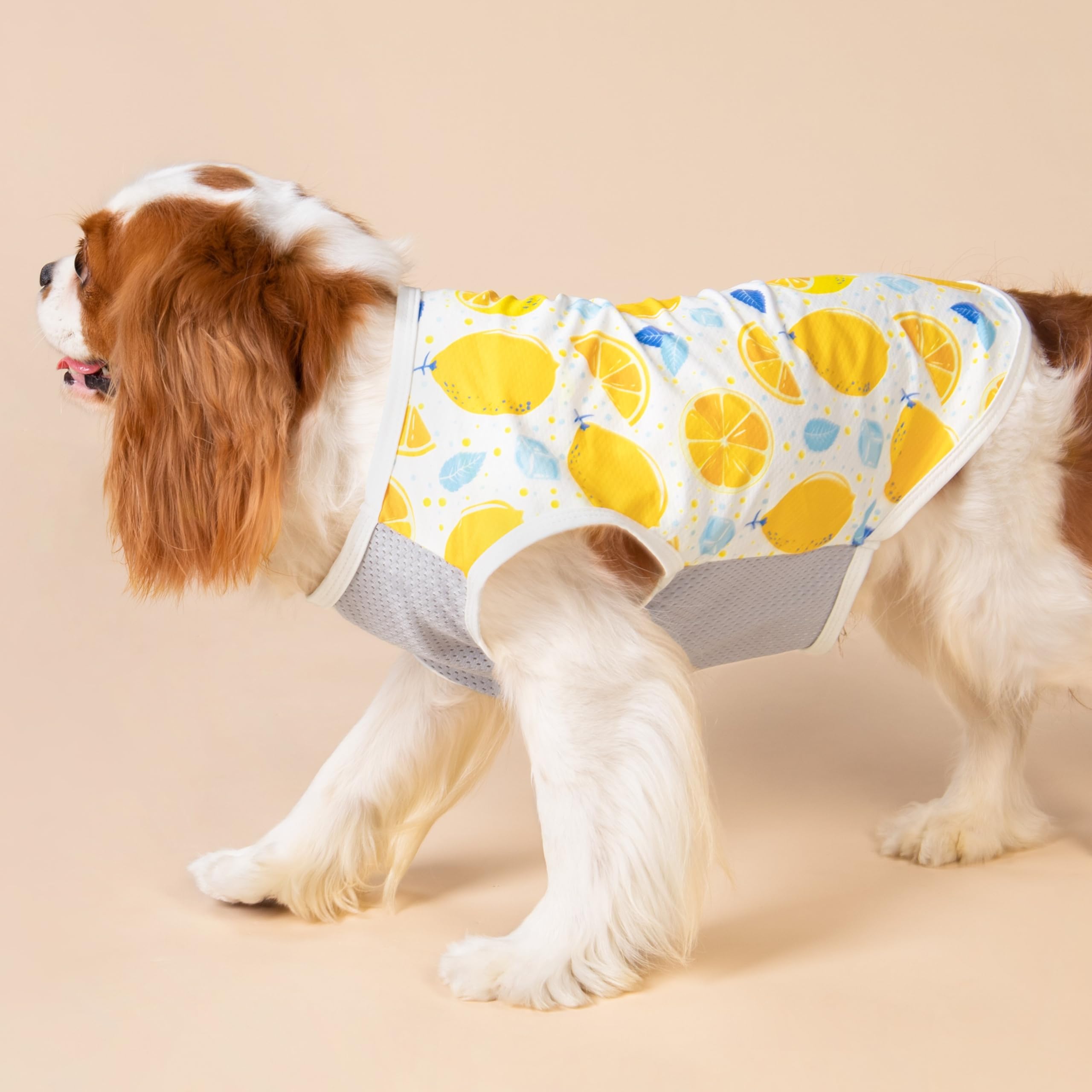 Fitwarm diseño limón-hielo en camisa para perro.