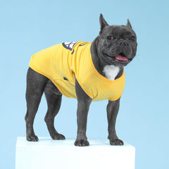 Fitwarm camiseta para perro paseo cómodo, fácil de poner.