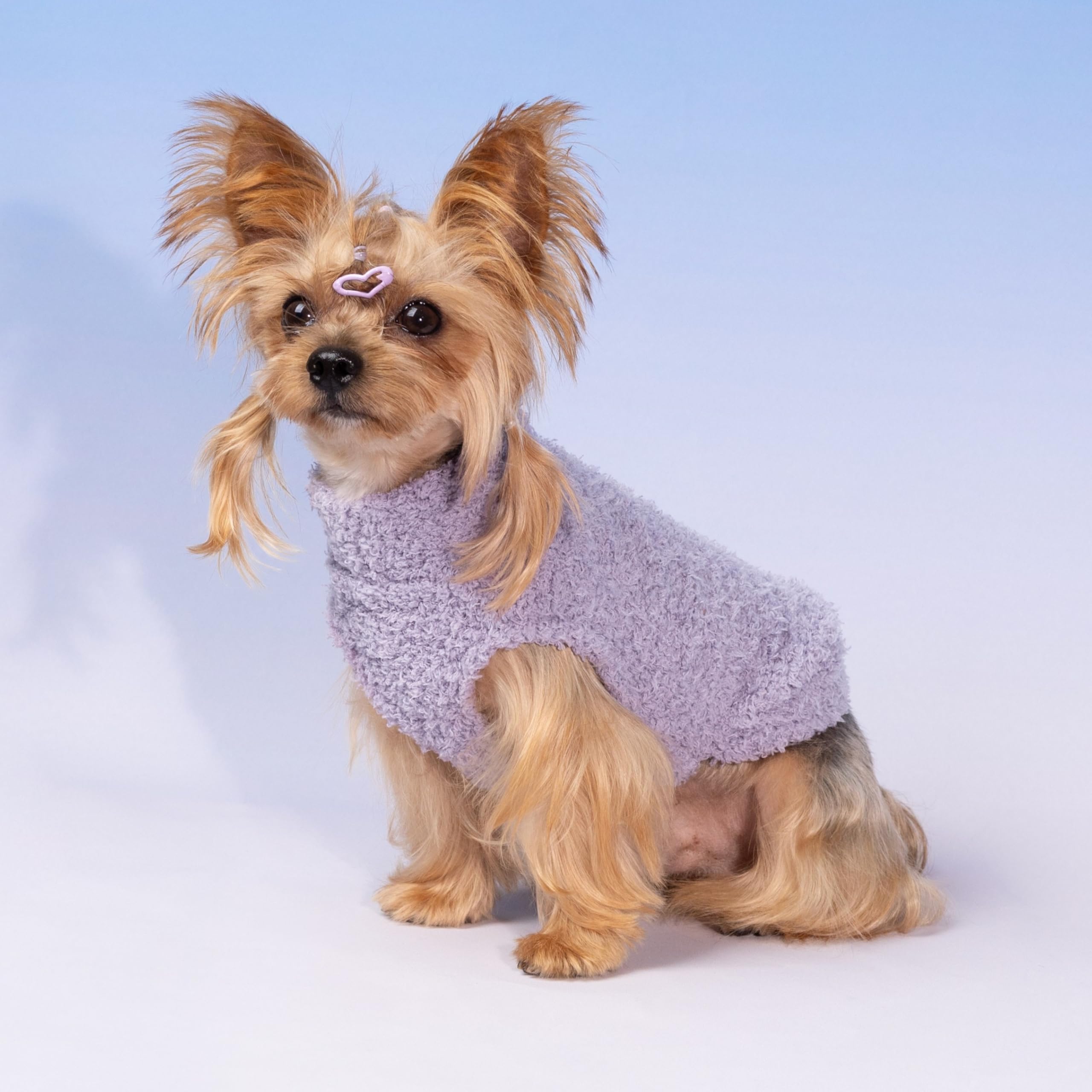 Conjunto de dos piezas de Fitwarm para perro, diseño práctico.