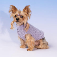 Conjunto de dos piezas de Fitwarm para perro, diseño práctico.