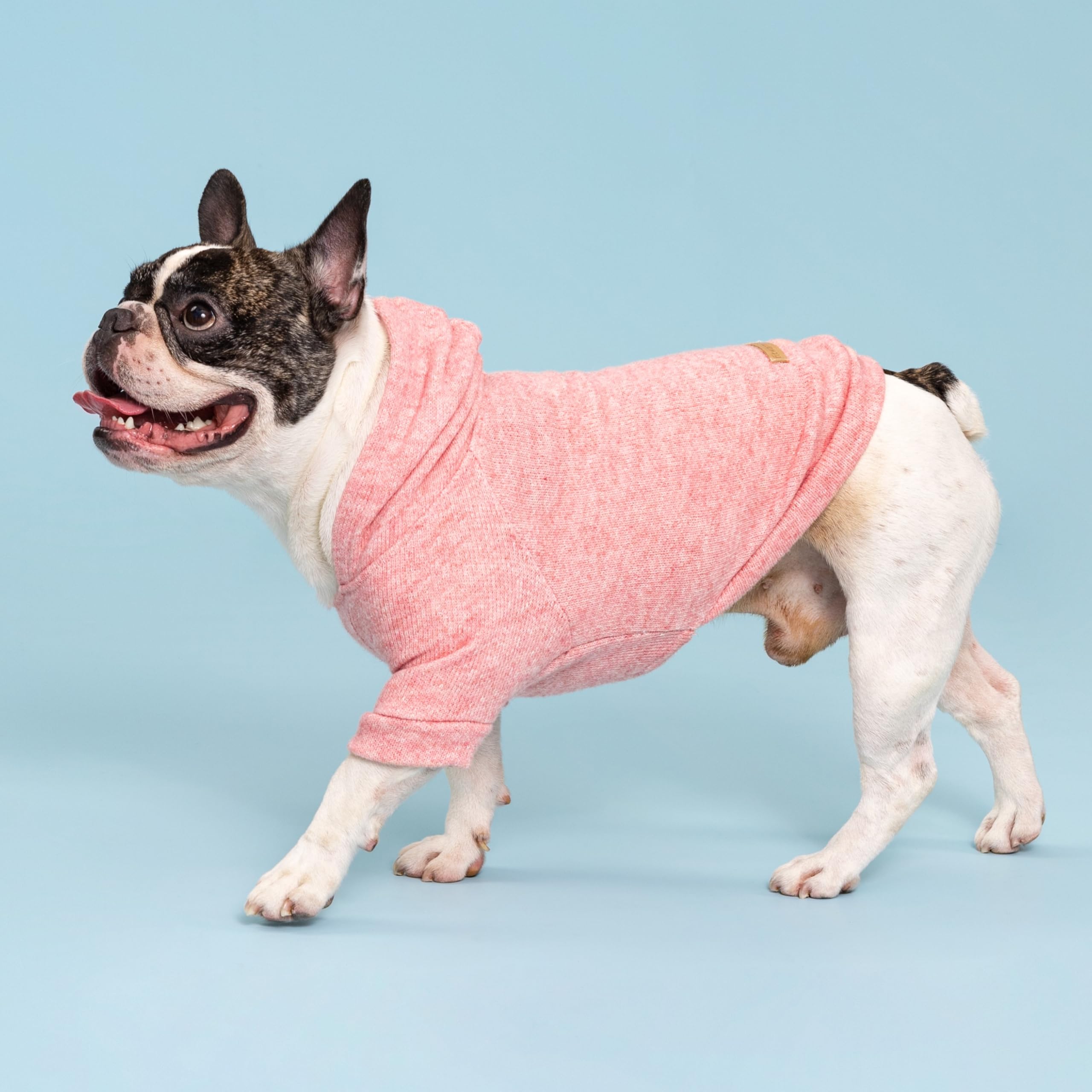 Fitwarm facilidad de ponerse para perro, ahorro de tiempo en cambios de ropa.