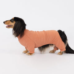 Textura de felpa suave de Fitwarm para paseos y descanso