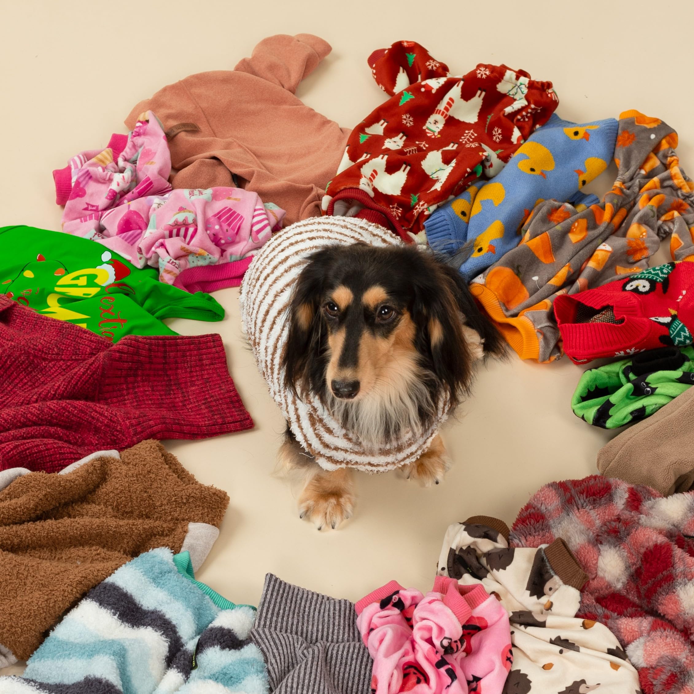 Fitwarm recomendado para razas pequeñas como Beagle y Bulldog Francés.