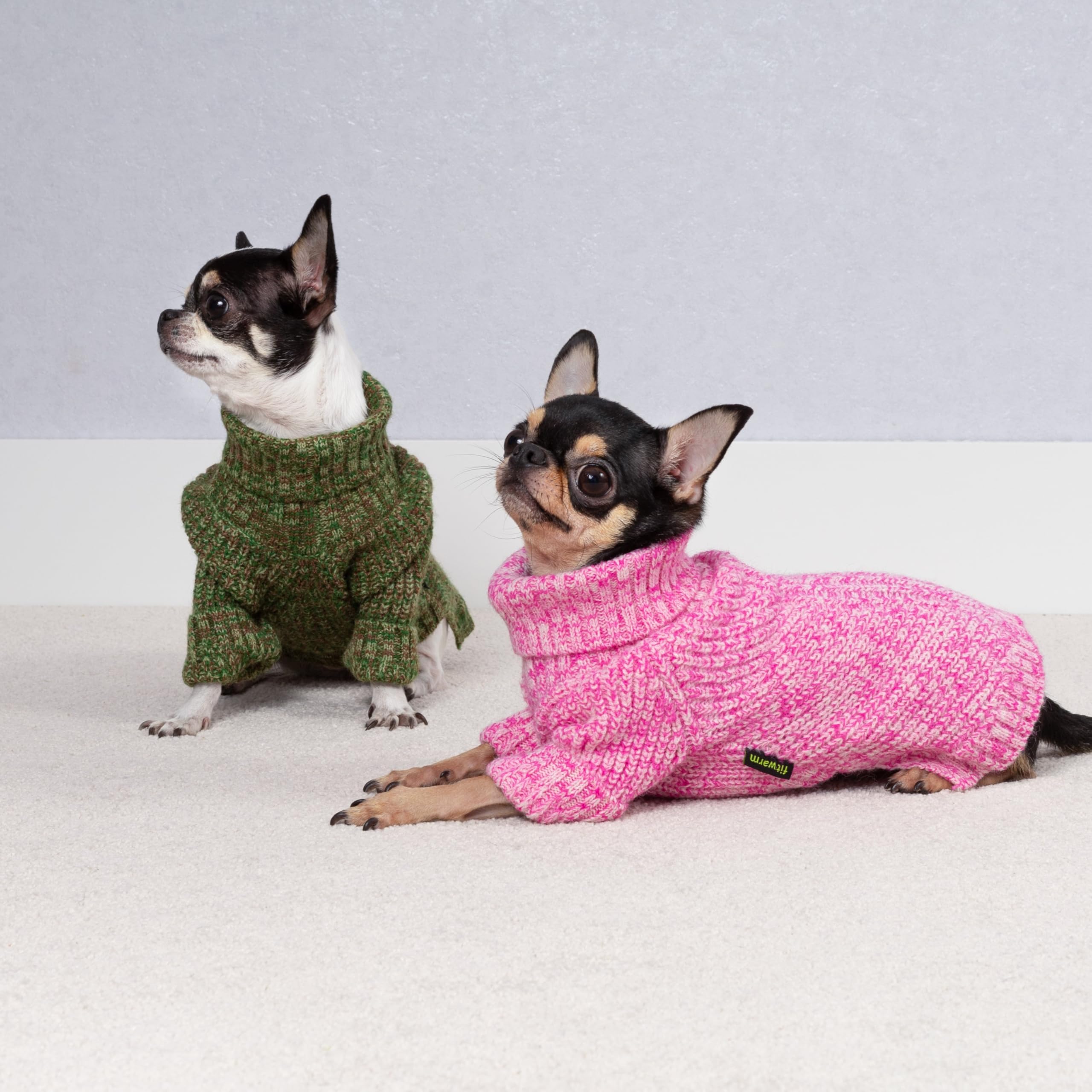 Fitwarm perro con suéter en paseo invernal, comodidad durante la caminata.