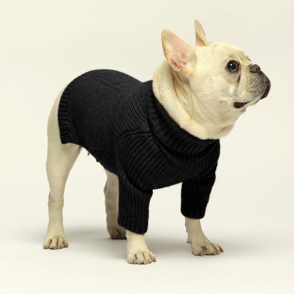 Fitwarm sudadera para mascotas, color negro, práctico para uso diario y eventos.