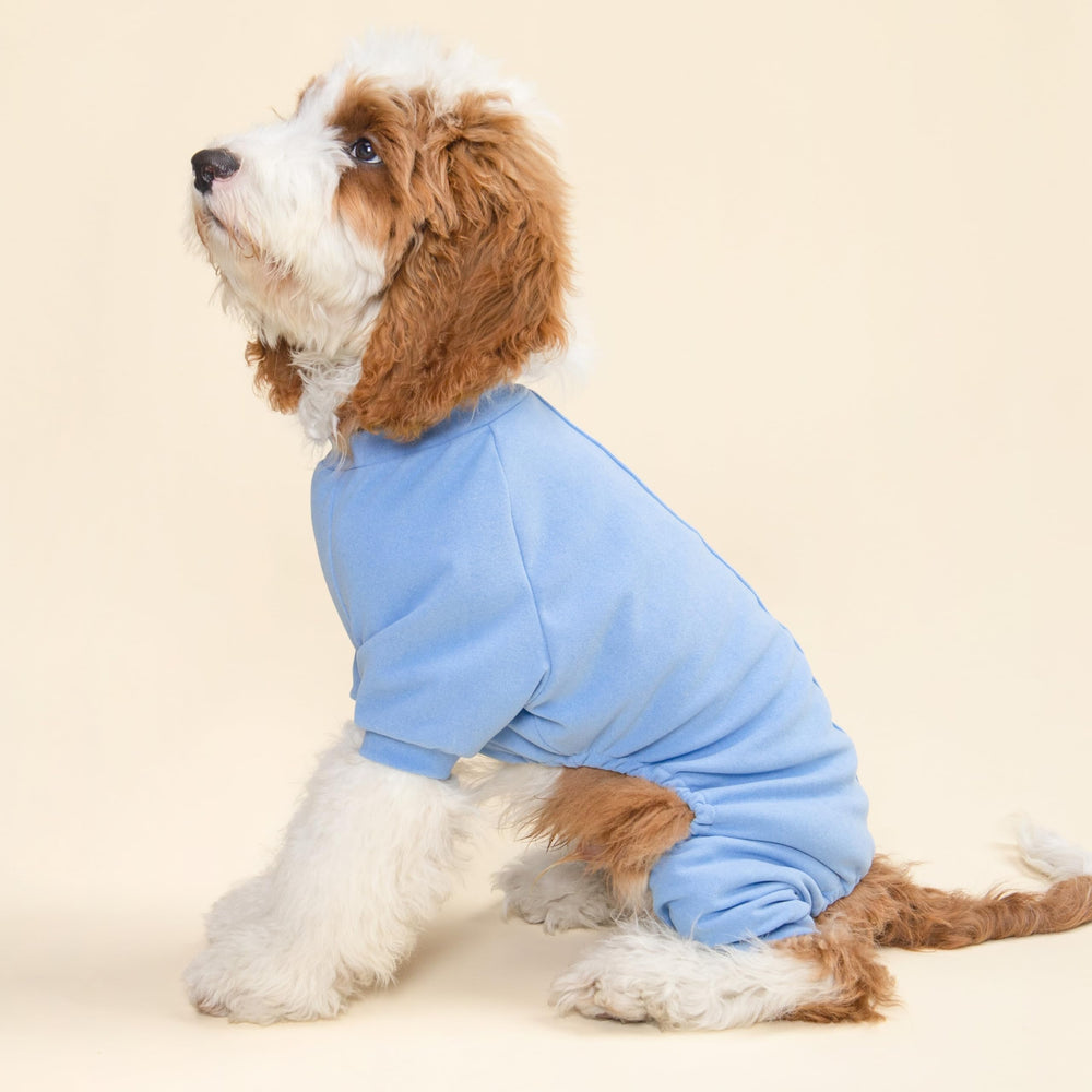 Fitwarm pijama para perro con cuello redondo y diseño de cuerpo completo.