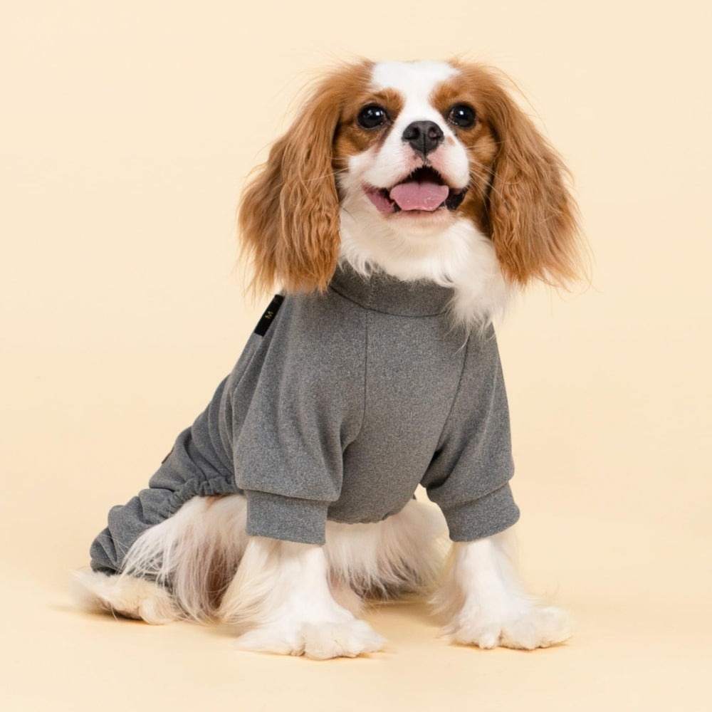 Fitwarm pijama para perro, cuerpo completo, diseño limpio