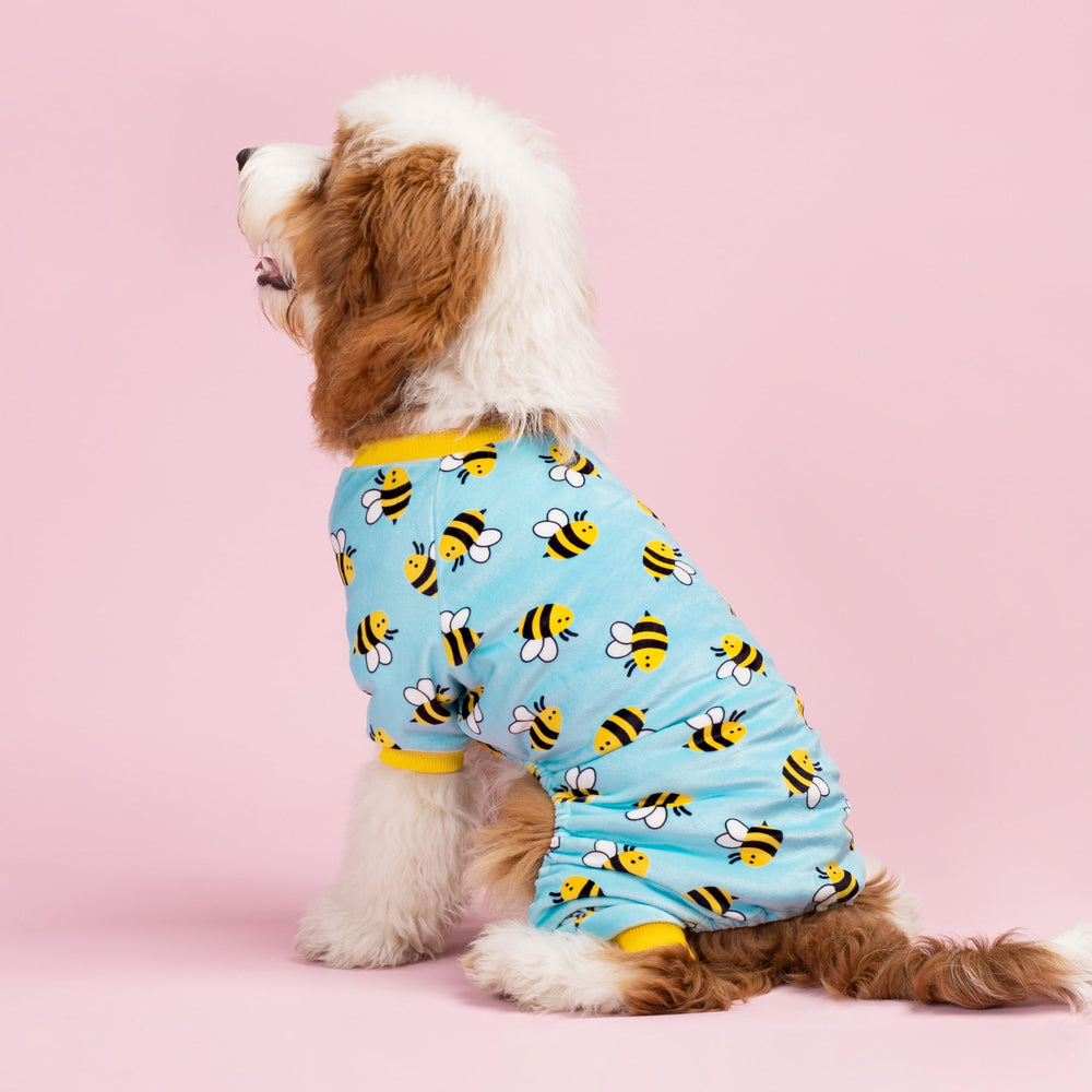 Fitwarm pijama canino con dibujo de abeja en azul, favorece la visibilidad y la comodidad.