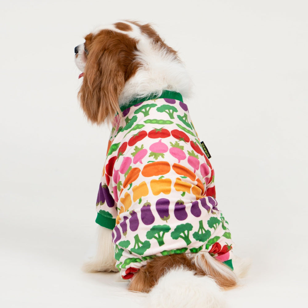 Pijama Fitwarm para perro, dibujos vegetales coloridos, perfecto para juego