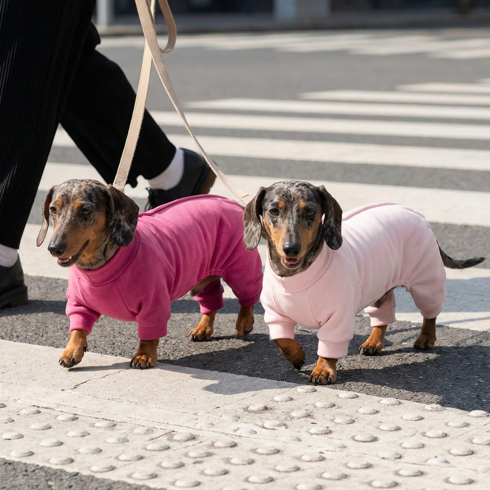 Pijama Fitwarm para perro, cobertura total trasera en rosa, ideal para días frescos.