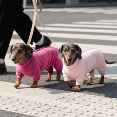 Pijama Fitwarm para perro, cobertura total trasera en rosa, ideal para días frescos.