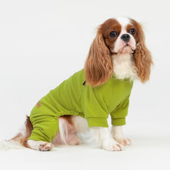 Fitwarm pijama canino de cuerpo entero, diseño de color sólido,