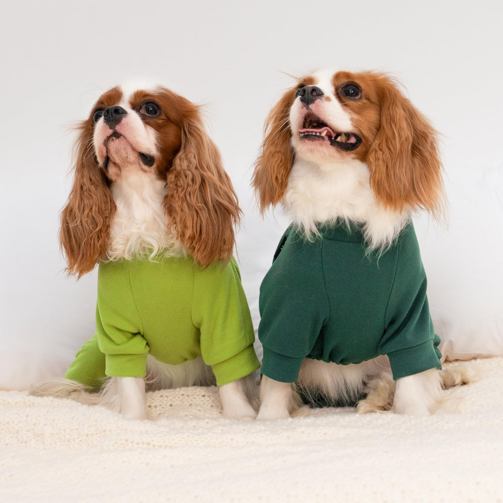 Fitwarm pijama interior para perros, uso en interiores,