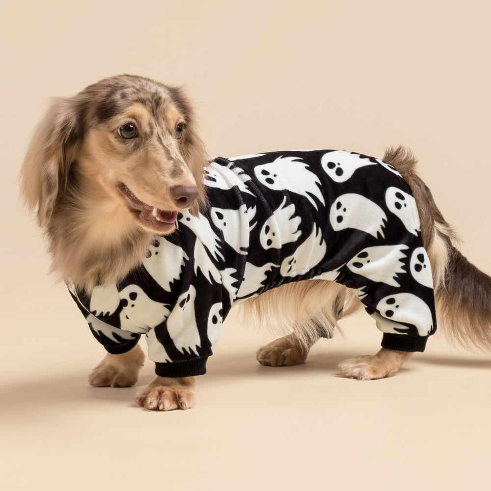 Pijama para perro Fitwarm con fantasma trasero, mantiene caliente durante la fiesta.