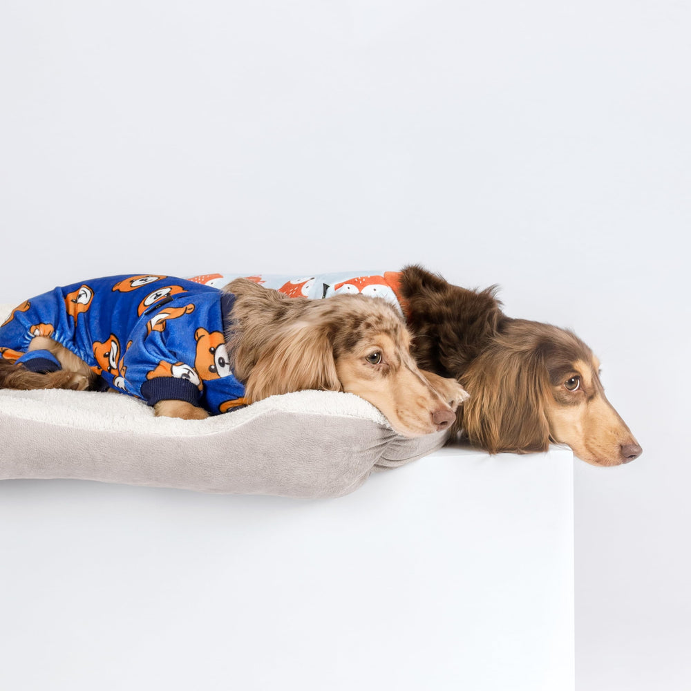 Fitwarm pijama perro oso azul, estampado oso, añade estilo suave
