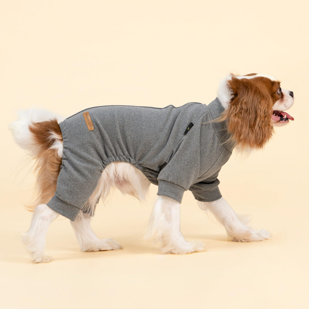 Fitwarm pijama para perro pequeño, vista trasera, ajuste suave.
