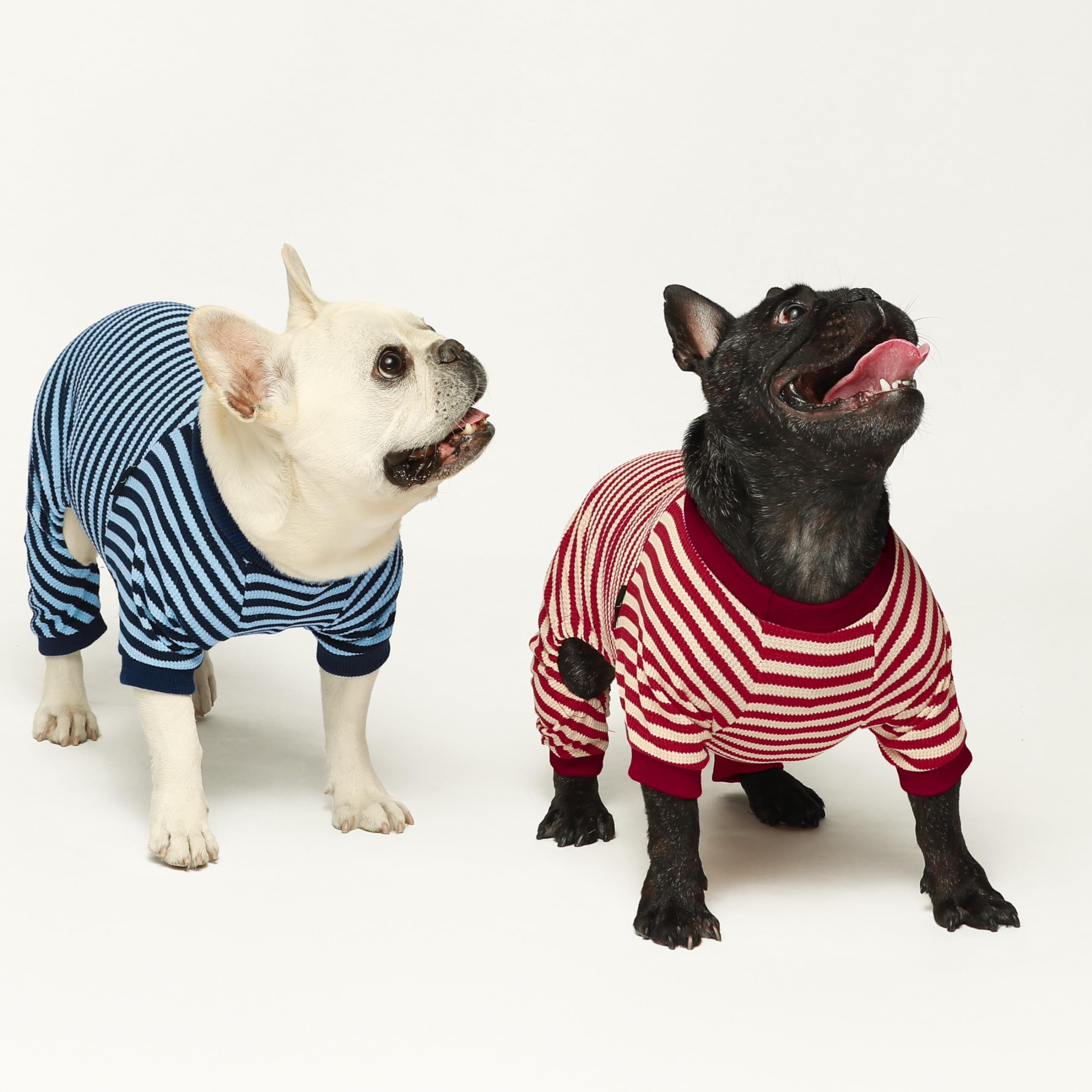 Fitwarm pijama probado en modelos de mascotas para ajuste cómodo.