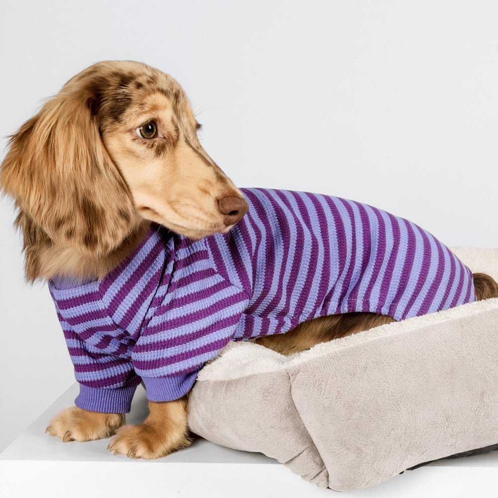 Pijama Fitwarm con rayas lilas desde el costado para perro pequeño.