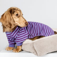Pijama Fitwarm con rayas lilas desde el costado para perro pequeño.