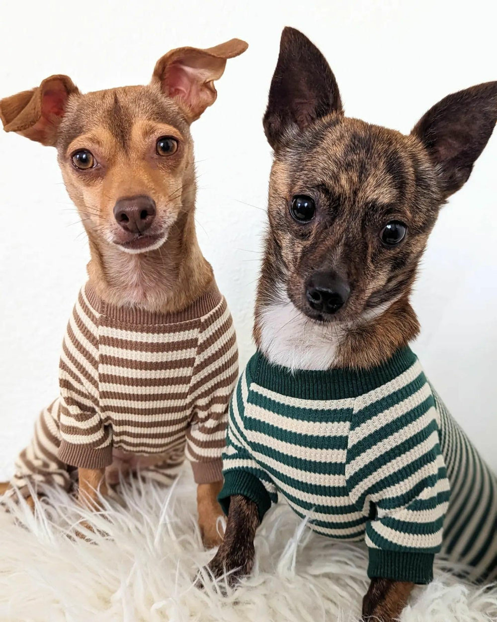 Fitwarm pijama para perro con rayas verde blanco vista lateral, estilo clásico