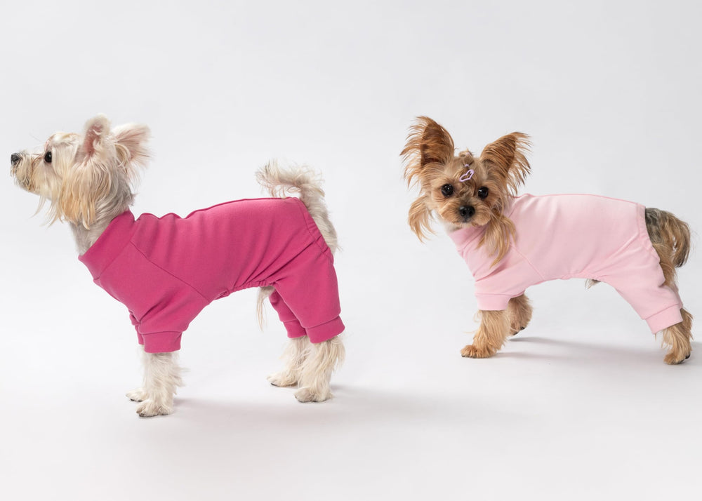 Fitwarm pijama para perros, ideal para sesión de fotos con colores suaves.