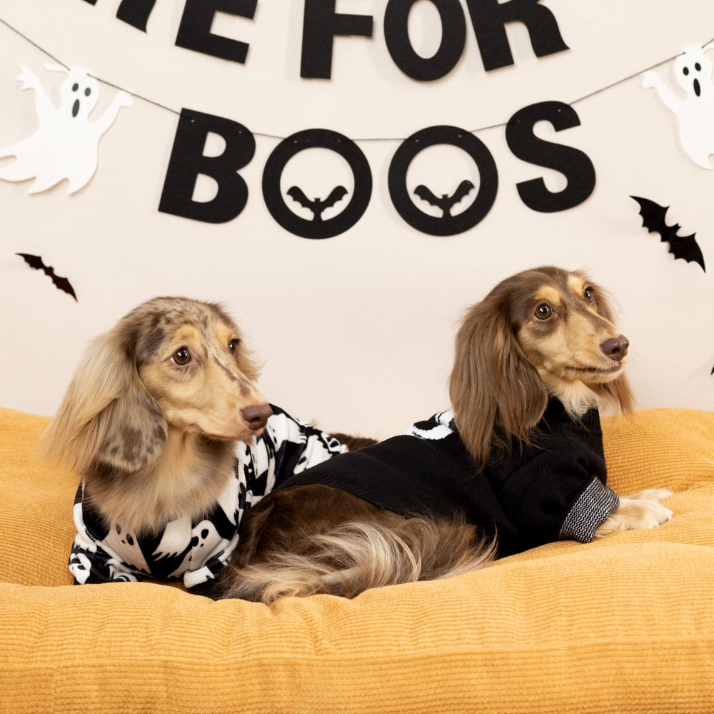 Pijama de felpa Fitwarm para perro, tejido suave para invierno.