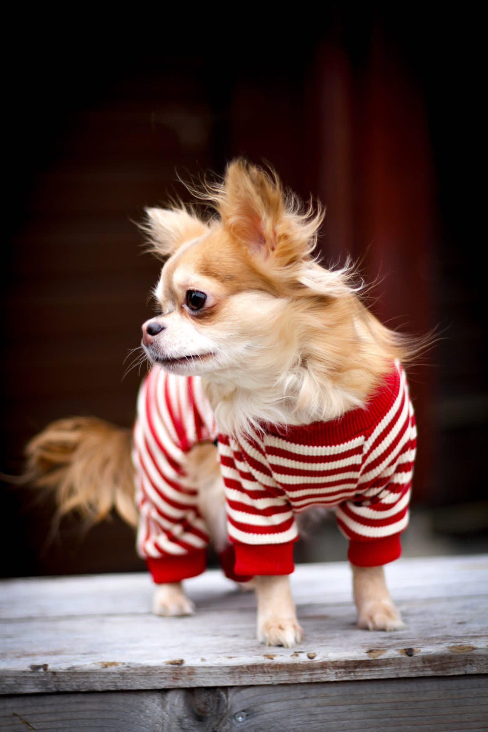 Pijama Fitwarm tejido waffle algodón suave para perros pequeños.