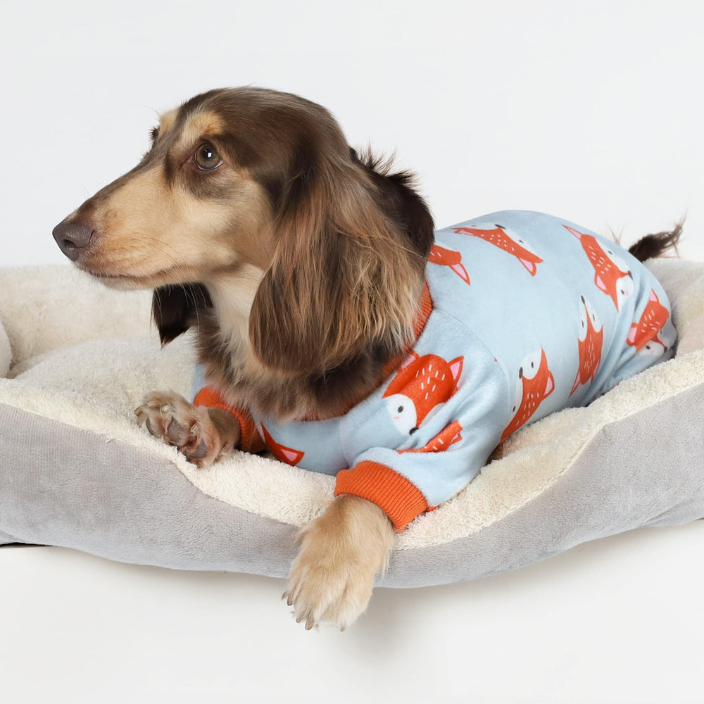Fitwarm pijama perro zorro divertido detalle tejido gris naranja XXL