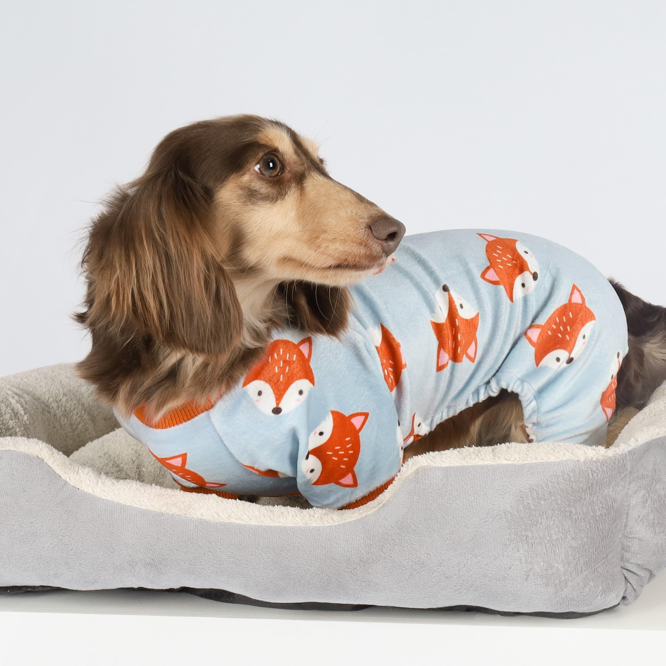 Fitwarm pijama perro zorro divertido mangas y pies gris naranja XXL
