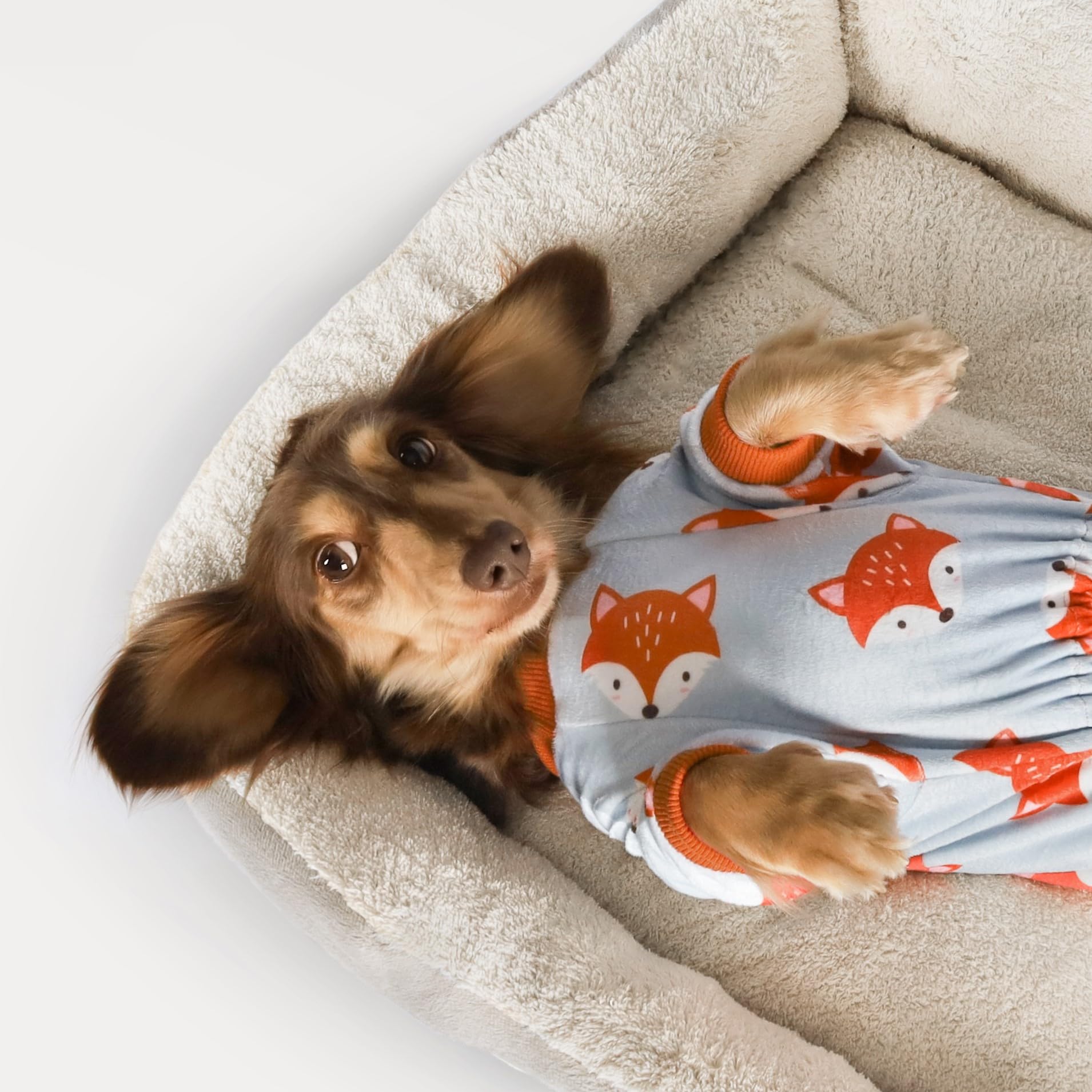 Fitwarm pijama perro zorro divertido trasero gris naranja XXL, cobertura total