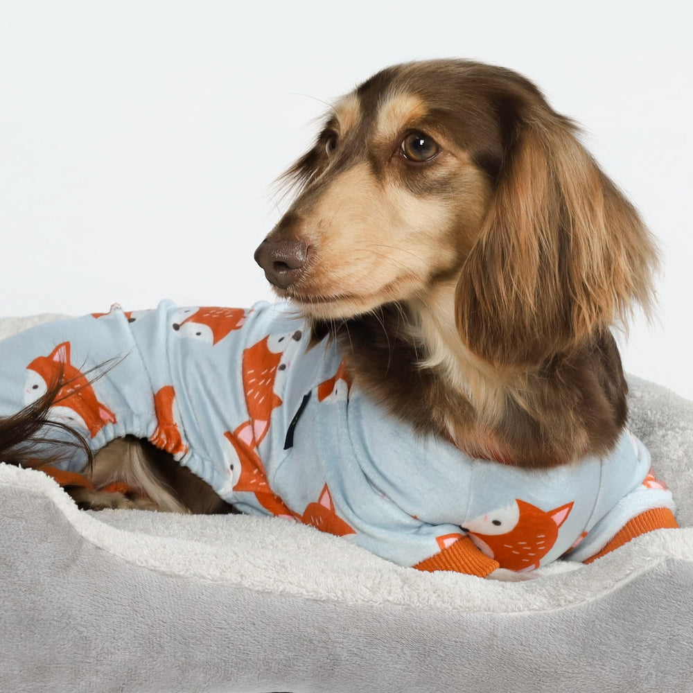 Fitwarm pijama perro zorro divertido uso para dormir gris naranja XXL