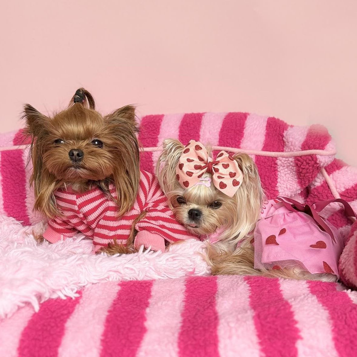 Fitwarm pijama para perros, uso diario cómodo y práctico.
