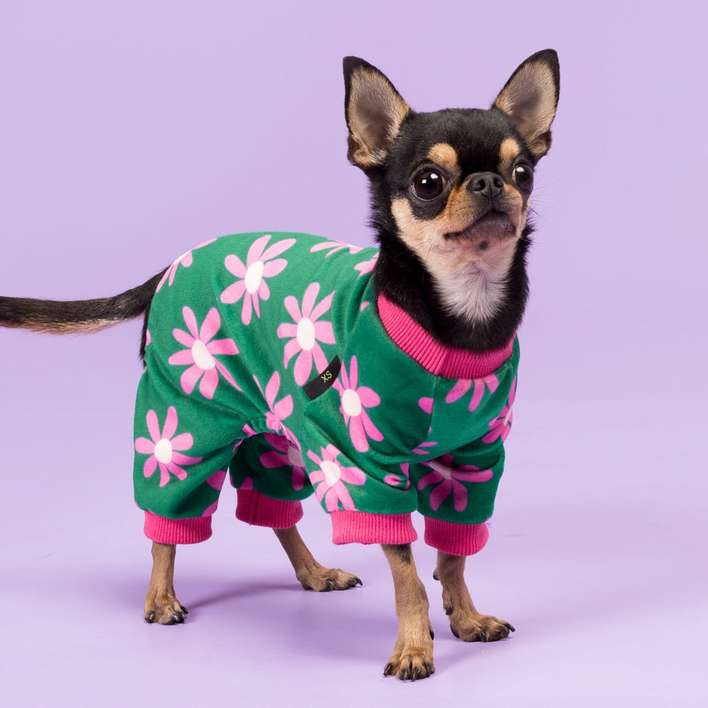 Fitwarm pijamas de perro diseño floral, añade estilo mientras ofrece comodidad.