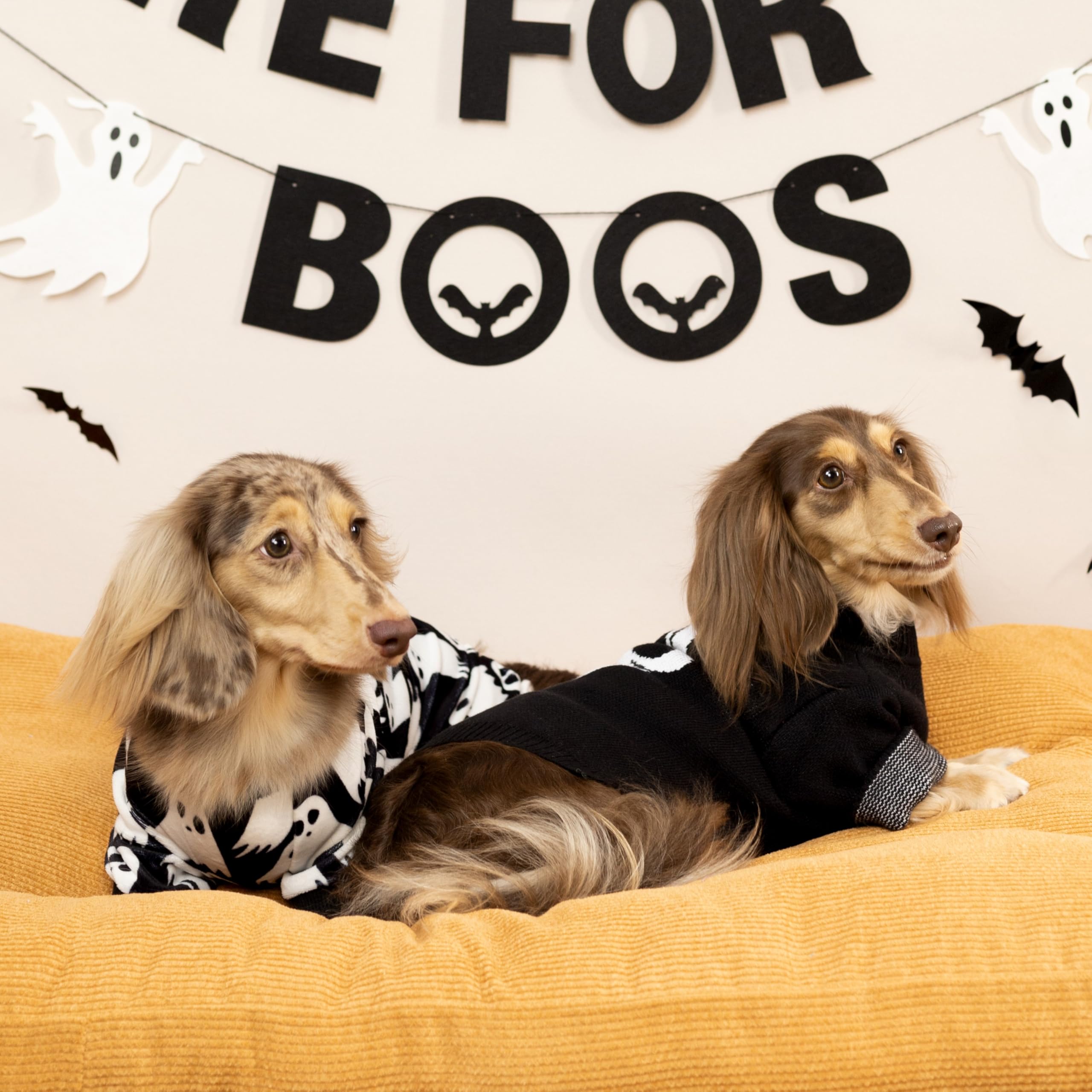 Fitwarm pijamas para perros, detalle de tela felpa suave, confort y calidez asegurados