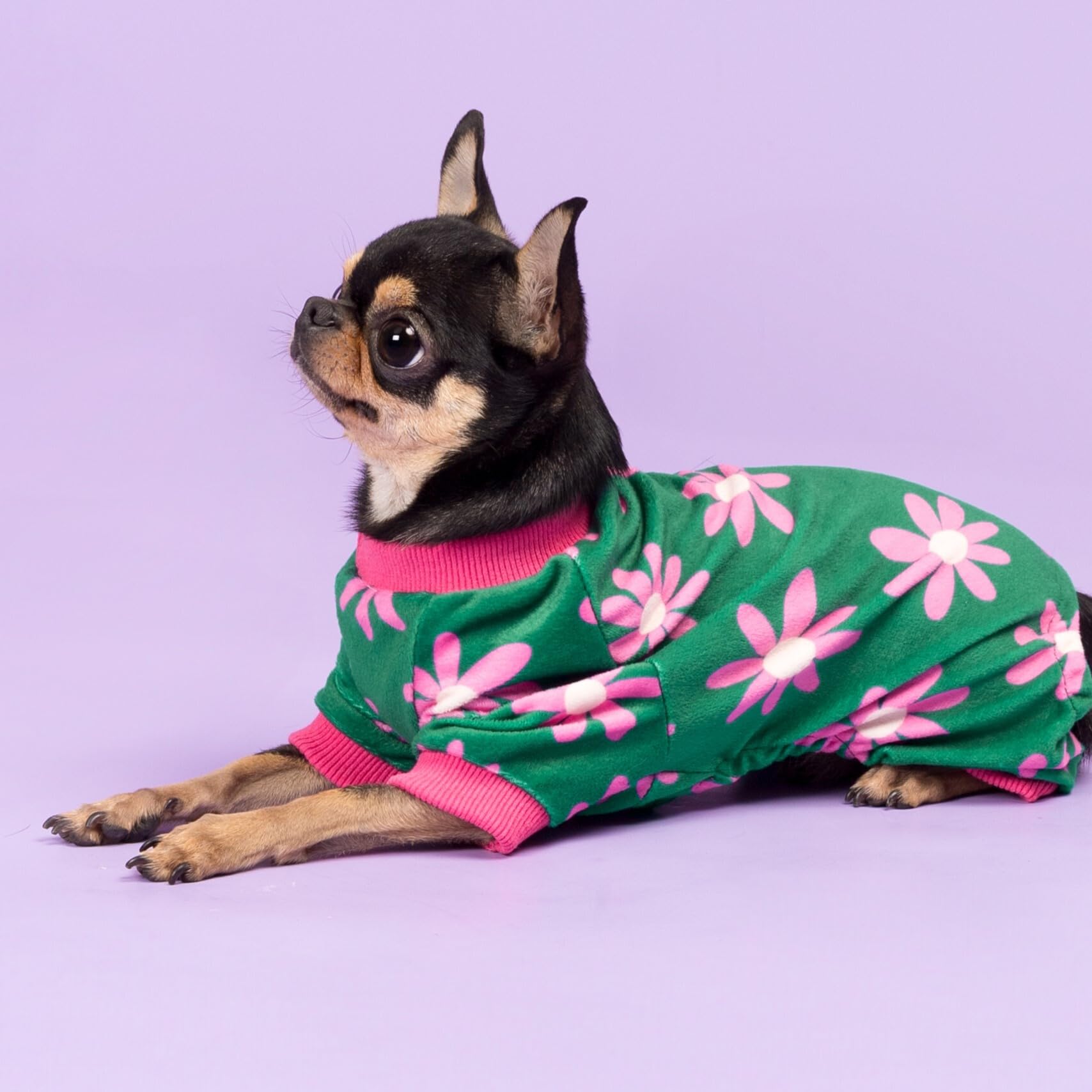 Fitwarm pijama de perro invierno-tejido, ideal para días fríos en casa o fuera.