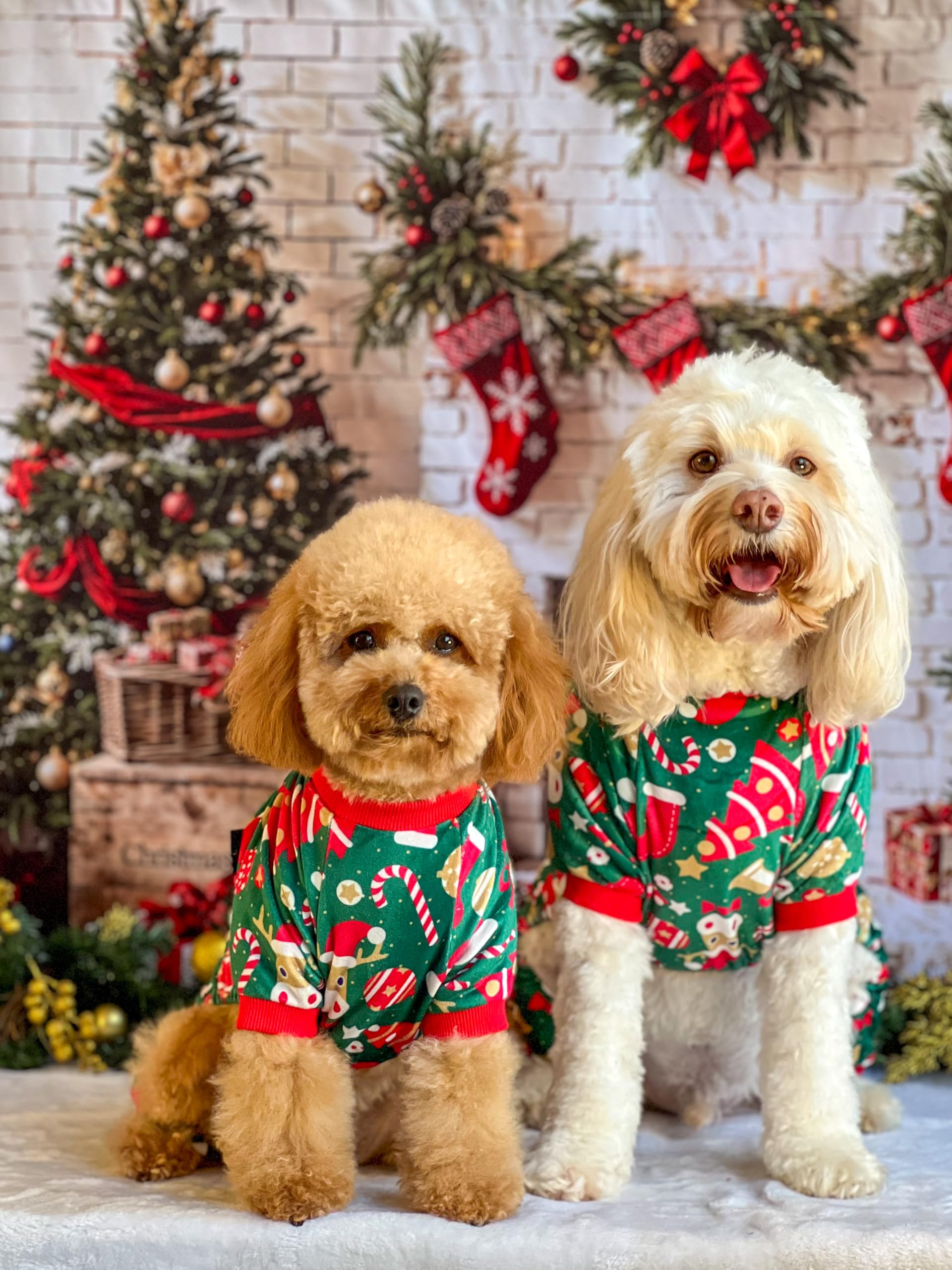 Fitwarm pijamas para perro con puntos dorados y brillo festivo.
