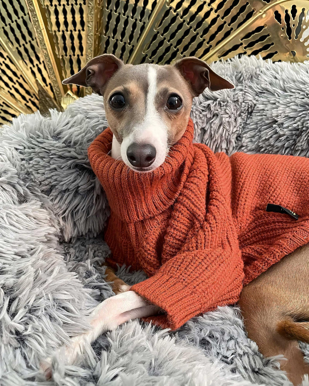 Fitwarm fácil de poner sudadera para perro rojo, ideal para salidas rápidas