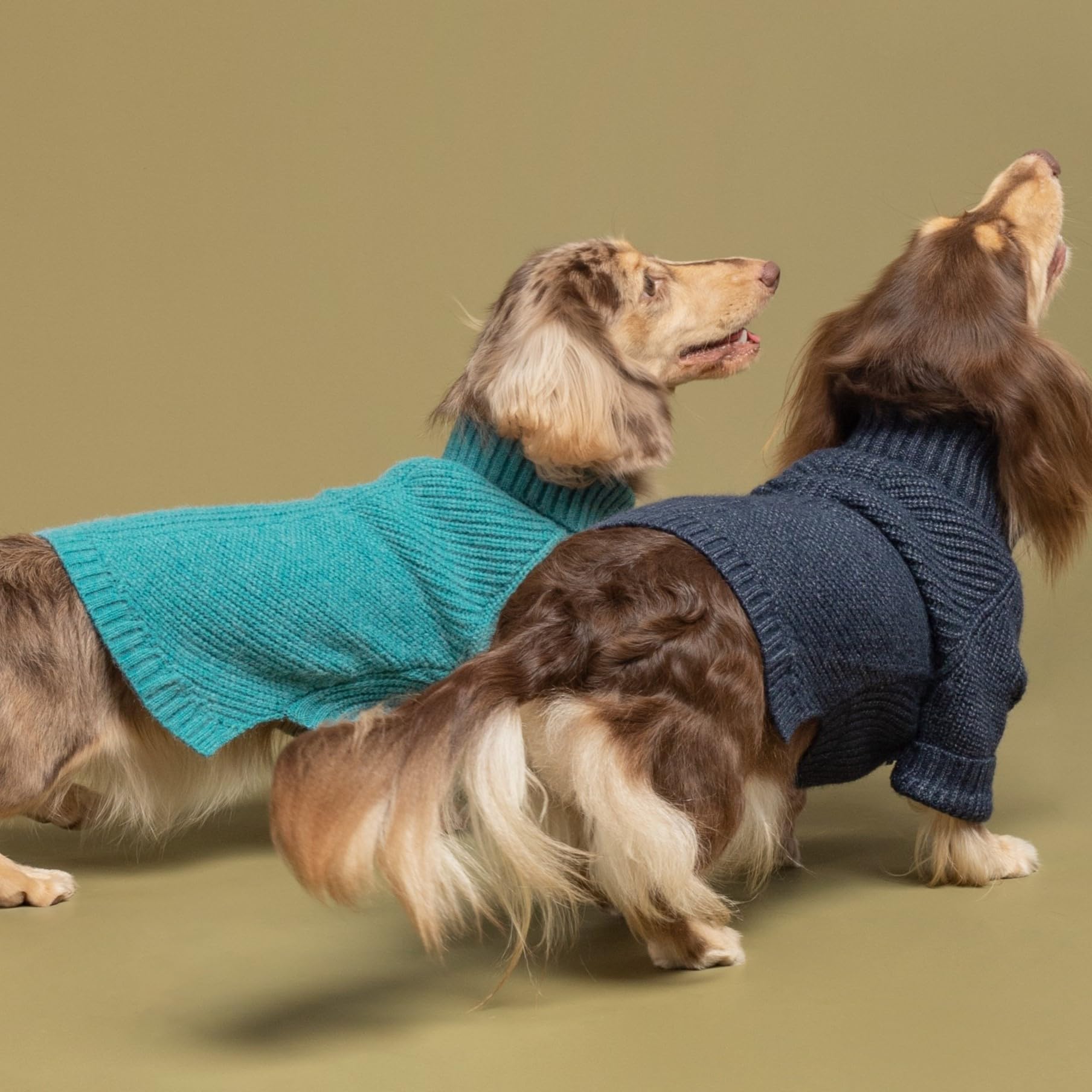 Fitwarm prenda para perro pequeño, ideal para uso diario y salidas.