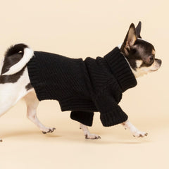 Fitwarm suéter para mascotas pequeñas, color negro; ideal para salidas diarias y fotos.