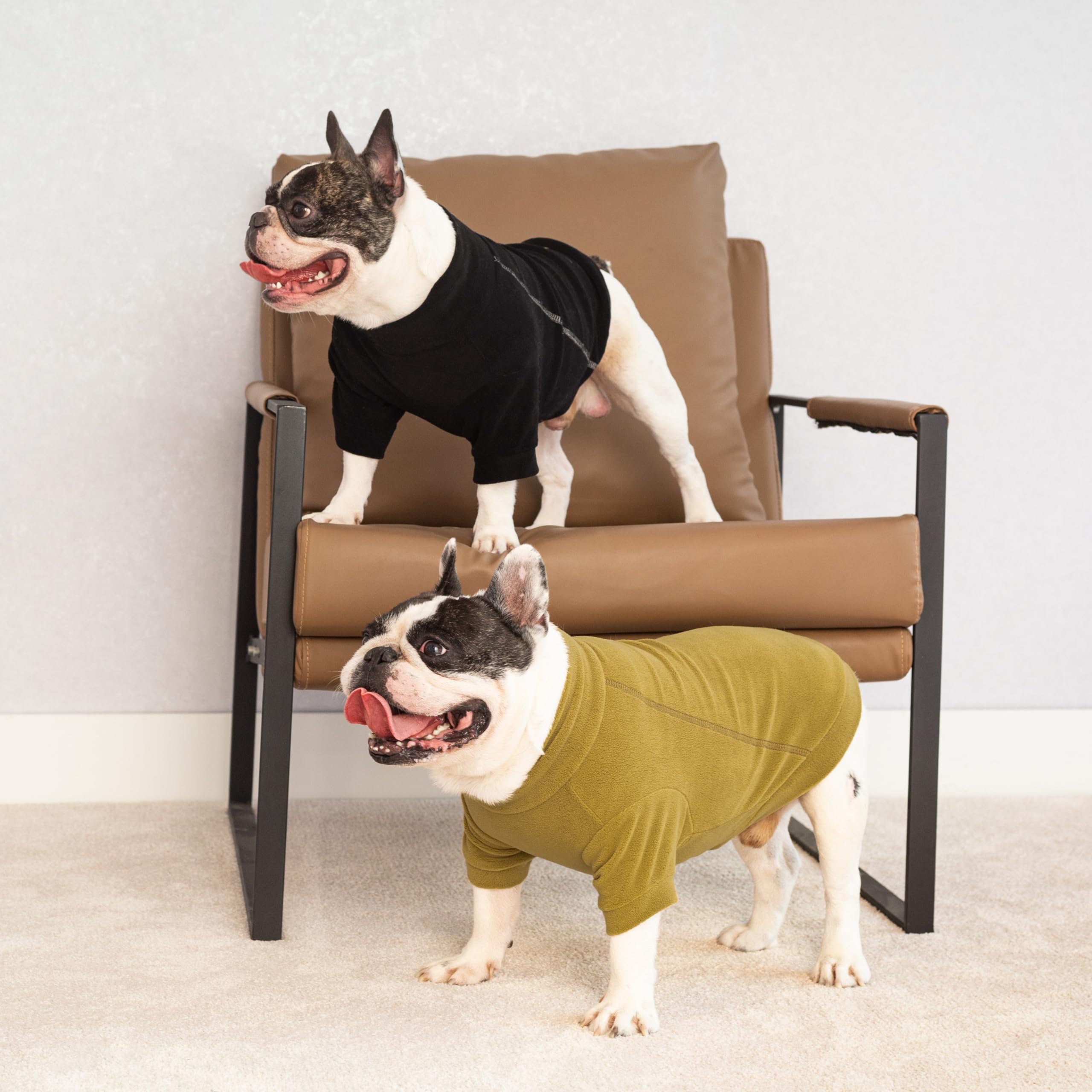 Fitwarm sudadera para perro color crema, estilo versátil para salidas