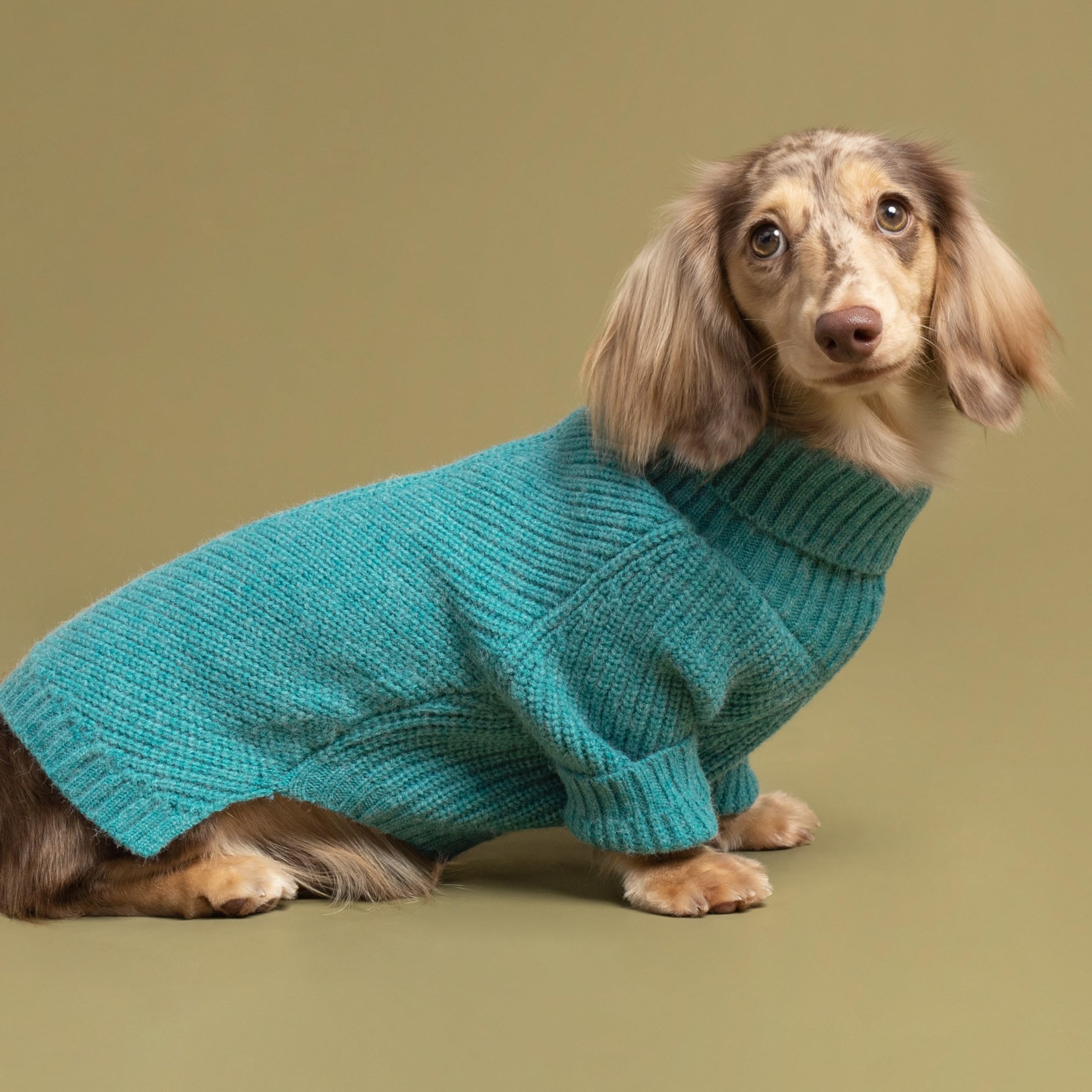 Fitwarm sudadera para perro cuello alto Teal, vista trasera para ajuste